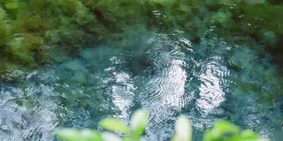 生まれたての水がキラキラ☆ 南阿蘇村の小さな旅