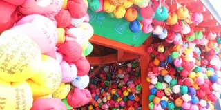 勢いで途中下車！京都ぷらぷらプラン！
