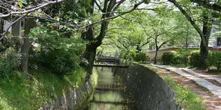 哲学の道散歩とカフェ