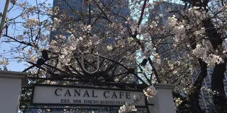 飯田橋カナルカフェからお散歩