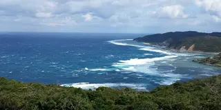 天国に一番近い島？奄美大島 その2