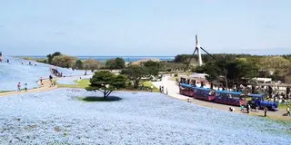 海うみ。元気がでるドライブデート！