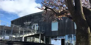 人混み苦手さんへ🌸のんびり桜デート神楽坂🌸