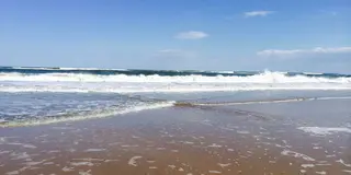 ランニングやウォーキングにオススメ！〜日立の海コース〜