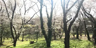 代々木さんぽ