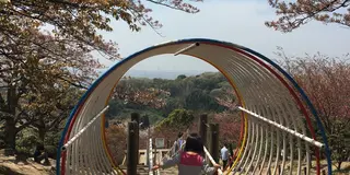 子どもと一緒にお花見を。