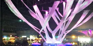 野外フェス