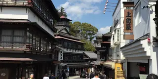 ✳︎千葉県✳︎  春の成田さんぽ🌸