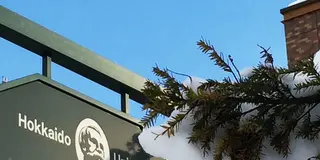 札幌でゴロゴロすればいいところ！