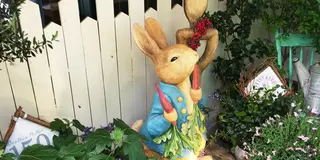 ゆったり自由が丘、美味しいかわいい巡り