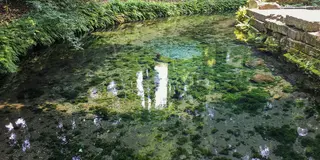 【阿蘇・小国郷 】人生のうるおいが足らない人は《水巡りの旅》でリセットしよう