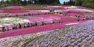 車が無くても遠出したい！電車で2時間☀️秩父日帰り旅行👫