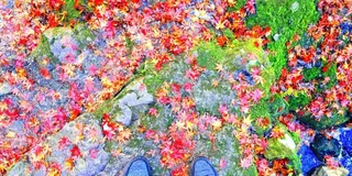 東京にこんなところが！？おすすめパワースポット【東京都檜原村】