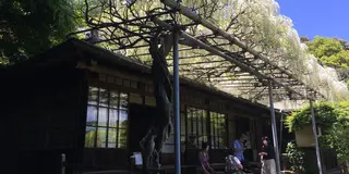 人混みを避けた鎌倉社寺巡り