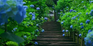 鎌倉、北鎌倉の魅力満載❤