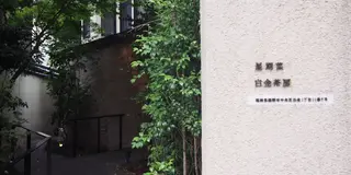福岡カフェ巡り☕︎