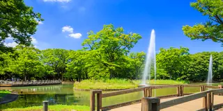代々木公園から新宿ランチまで