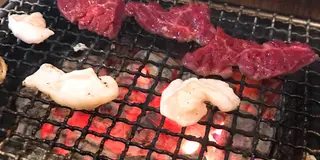 昼から飲みたい！そんな日は横浜野毛に行くしかない🍻