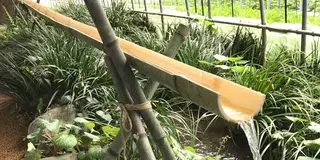 ★阿蘇の涼スポットまとめ★ 暑い夏を楽しい夏に！