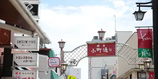 鎌倉・江ノ島大満足プラン！デートにも！友達にも！✨インスタ映えもばっちり👌