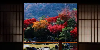 嵐山・嵯峨野寺巡り