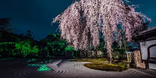 【京都】豊臣秀吉ゆかりののパワースポット　高台寺