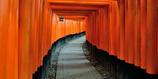 【京都】京都府最強のパワースポット　伏見稲荷大社のご利益まとめ