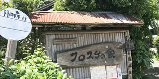 狭山湖 梅雨の晴れ間 のんびり散歩