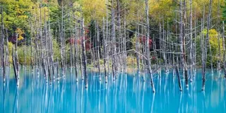 あふれるインスタ欲が止められない！！！北海道の魅惑スポット