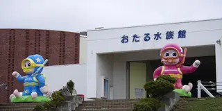 北海道と言えばここ！