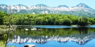 観て食べて体験も！体験型北海道ツアー