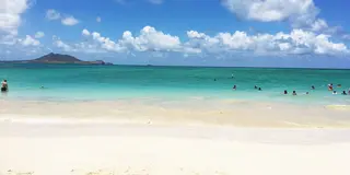 ハワイの人気スポットに行こう😎