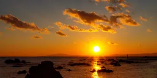 大切な人と日帰り三浦半島