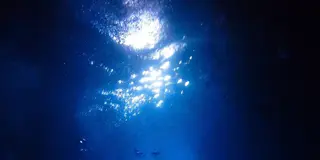 初めての沖縄観光✈️2泊3日で本島を満喫🏖 - 到着日に青の洞窟でダイビング！編