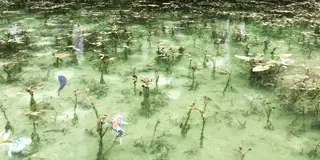 愛犬と岐阜満喫日帰り旅行