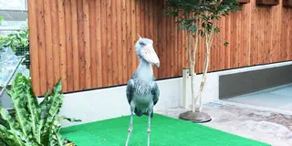 静岡県満喫