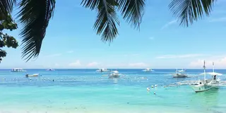 フィリピン ボホール島の美しい海と緑がいっぱいのリゾート旅プラン