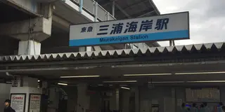 夏のみさきまぐろきっぷ