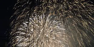 新潟で夏を満喫～海と花火とグルメを楽しむ