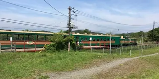 【北海道】夏の釧路の自然とグルメを楽しむ🍴