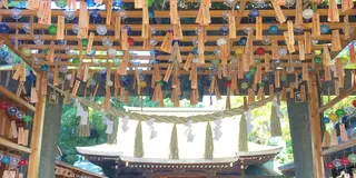 縁結び御利益の川越氷川神社、川越八幡宮で御朱印と小江戸川越を楽しむならレンタルサイクルが超オススメ！