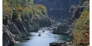 紅葉ならココ！in徳島