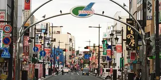 歩け！彼岸花日帰り散策