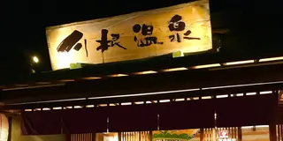 のんびりキャンプと童心に帰る旅〜静岡県川根町〜