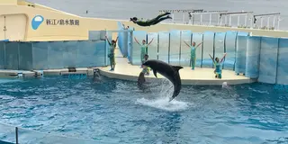 車でフラフラっ〜と。
