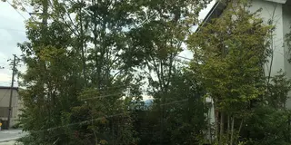隠れ家カフェ
