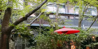 阿蘇の推し温泉5選♨️絶景カフェを添えて