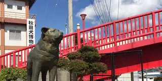 【 秋田 】大館をめぐる食べる癒される📸
