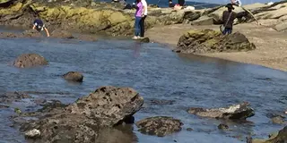 内房 日帰り車の旅
