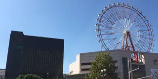 初鹿児島来訪